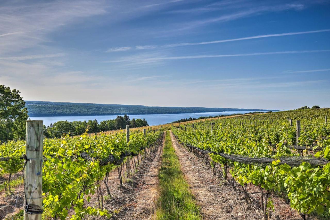 Finger Lakes Farm Retreat Walk To Wineries! Hector ภายนอก รูปภาพ