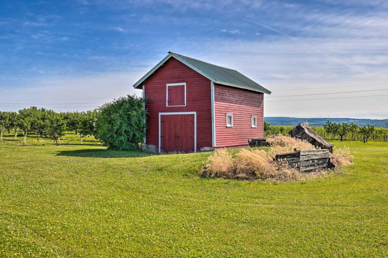 Finger Lakes Farm Retreat Walk To Wineries! Hector ภายนอก รูปภาพ