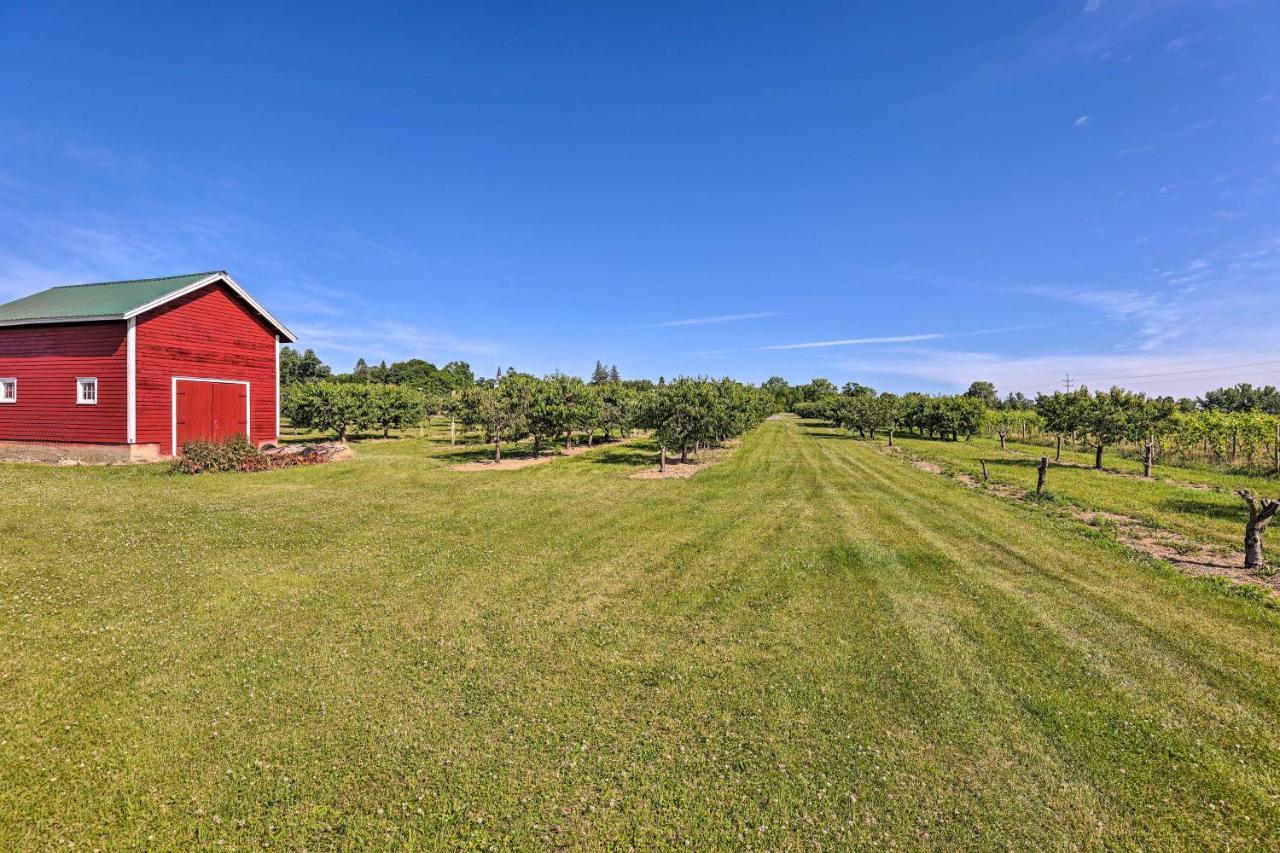 Finger Lakes Farm Retreat Walk To Wineries! Hector ภายนอก รูปภาพ