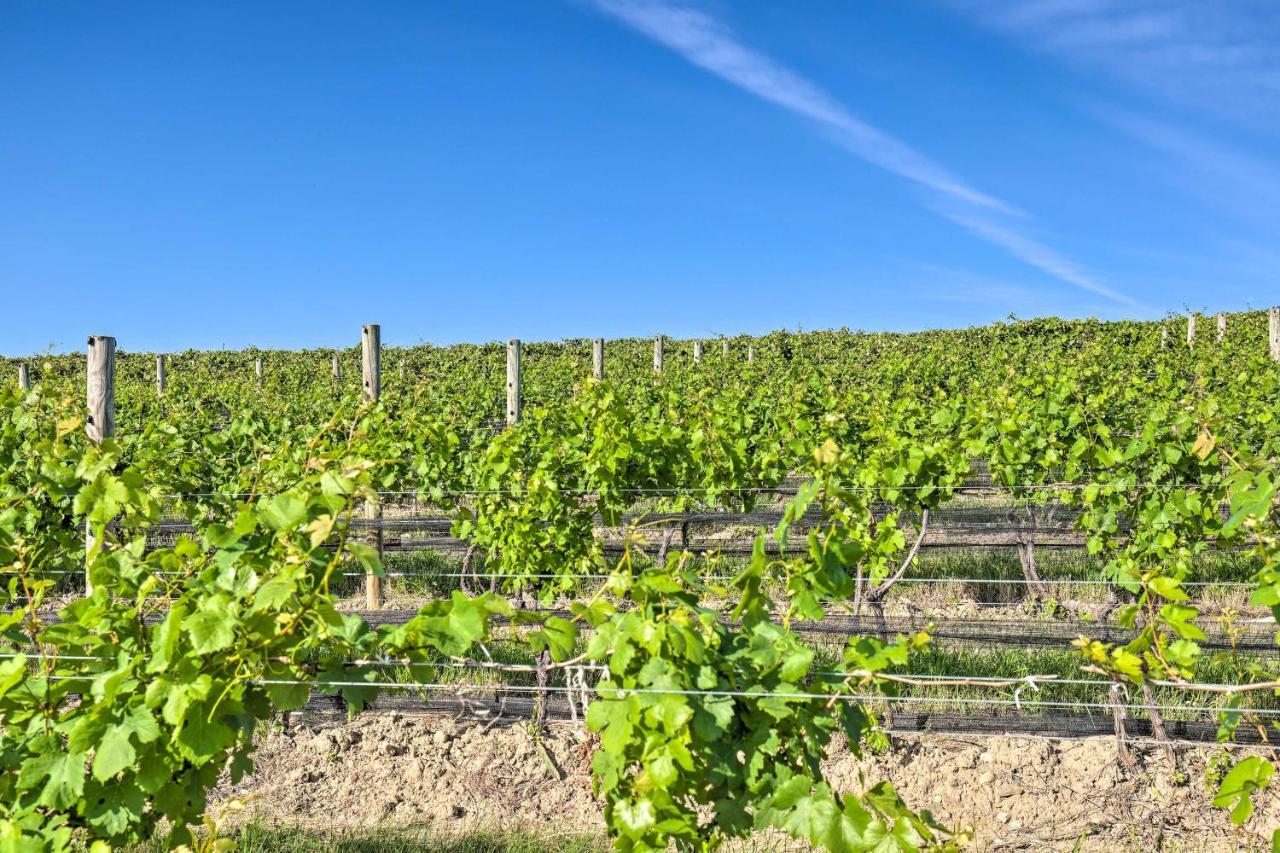 Finger Lakes Farm Retreat Walk To Wineries! Hector ภายนอก รูปภาพ