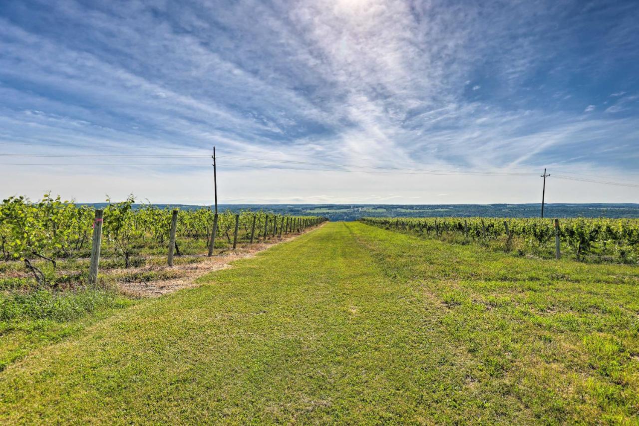 Finger Lakes Farm Retreat Walk To Wineries! Hector ภายนอก รูปภาพ